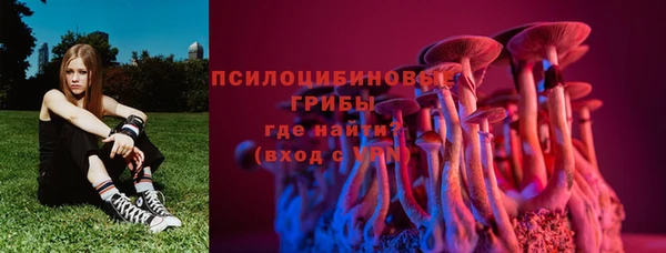 ПСИЛОЦИБИНОВЫЕ ГРИБЫ Алексеевка
