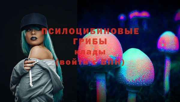каннабис Абаза