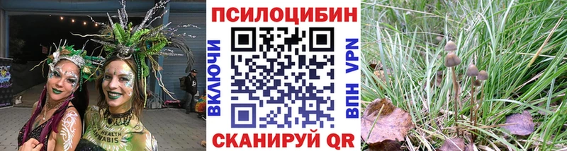 Псилоцибиновые грибы Magic Shrooms  магазин  наркотиков  Морозовск 