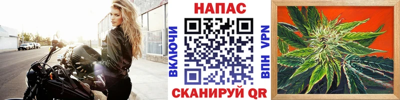 Канабис ГИДРОПОН  закладка  Морозовск 