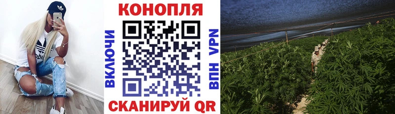 Конопля SATIVA & INDICA Морозовск